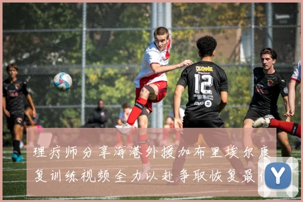 理疗师分享海港外援加布里埃尔康复训练视频全力以赴争取恢复最佳状态